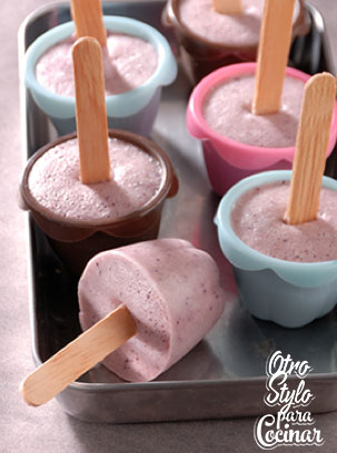 PALETAS DE FRUTOS ROJOS Y SOYA