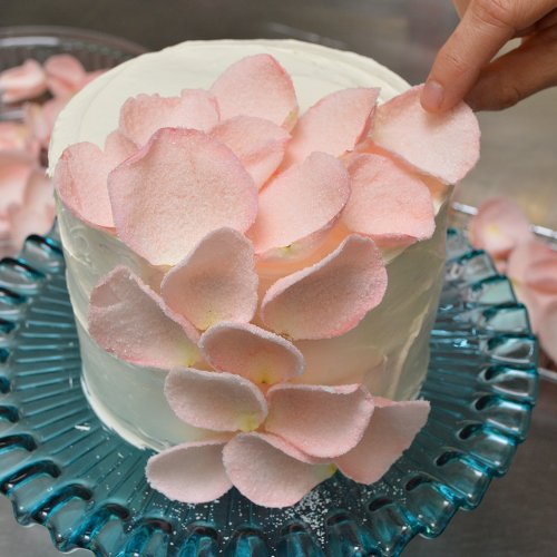 06acde90-f33b-11e4-ac0e-b168b0a66de3_pastel-petalos-4