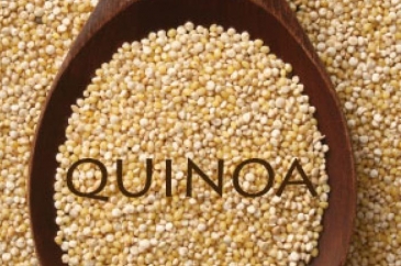 thumbnail_1380042907_quinoa